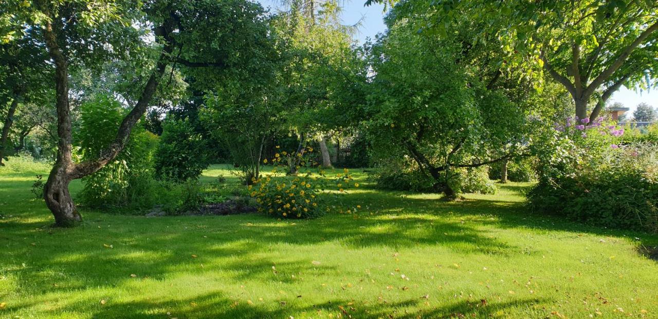 Majiga Istaba Ar Balkonu Un Vannasistaba, Bezmaksas Velo Noma Iecava Exterior photo